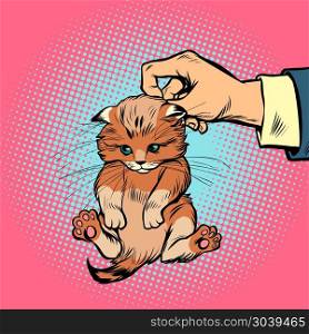 hand kitten holds by the scruff. hand kitten holds by the scruff. Comic book cartoon pop art retro illustration. hand kitten holds by the scruff