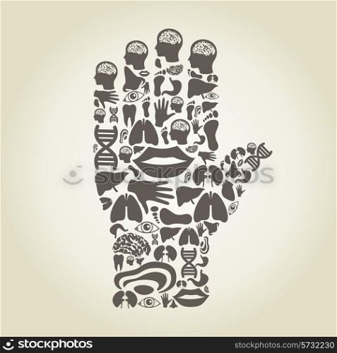 Hand made of body parts. A vector illustration