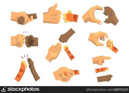 Hand of a man holding animals paw set animal vector image