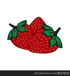 Hand painted strawberry berries close up. Three berries of strawberry vector. Hand painted strawberry berries close up.