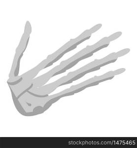 Hand skeleton icon. Isometric of hand skeleton vector icon for web design isolated on white background. Hand skeleton icon, isometric style