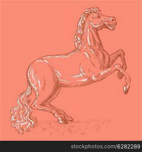 hand sketch ed illustration of a horse prancing viewed from the side. Horse sketch drawing prancing