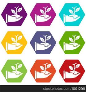 Hand sprout icons 9 set coloful isolated on white for web. Hand sprout icons set 9 vector