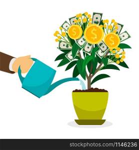 Hand watering money tree in flower pot, vector illustration. Hand watering money tree