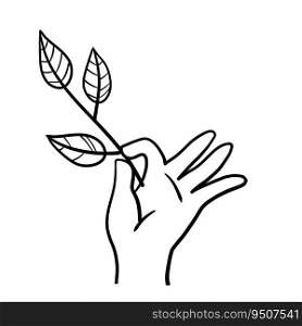 Hand with branch with leaves. Fresh Plant in palm. Concept of freshness and naturalness. Doodle sketch illustration. Hand with branch with leaves. Fresh Plant in palm.