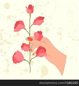 Hand with sweet pea pink flower in flat style. Isolated vector floral illustration.. Hand with sweet pea pink flower in flat style.