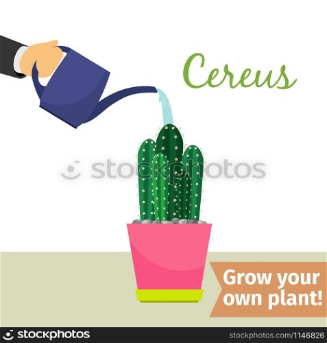 Hand with watering can pours cereus vector illustration for flower shop. Hand watering cereus plant