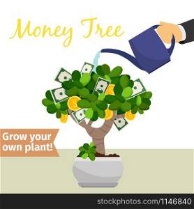 Hand with watering can pours money tree vector illustration for flower shop. Hand watering money tree