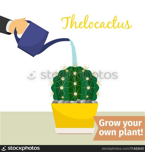 Hand with watering can pours thelocactus vector illustration for flower shop. Hand watering thelocactus plant