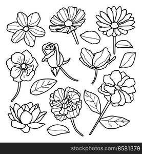 Handdrawn Aesthetic Realistic Floral Line Art Style Set