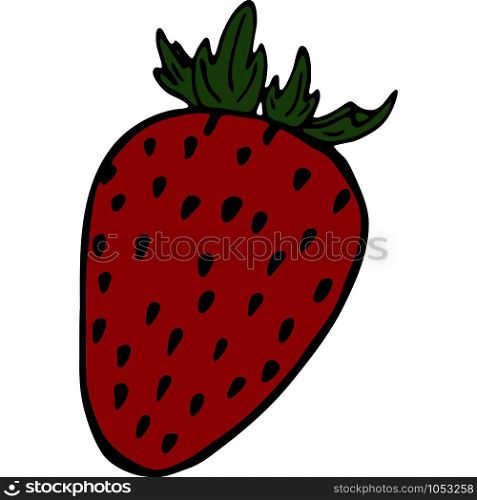 Handdrawn illustration with fruit strawberry, vector illustration. Fruit illustration