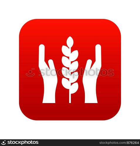 Hands and ear of wheat icon digital red for any design isolated on white vector illustration. Hands and ear of wheat icon digital red