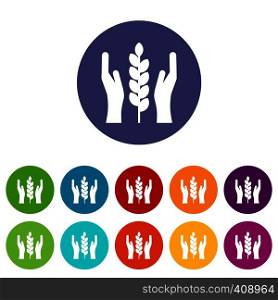 Hands and ear of wheat set icons in different colors isolated on white background. Hands and ear of wheat set icons