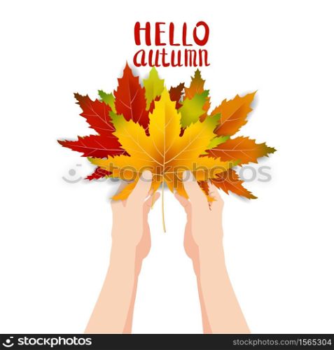 Hands hold autumn colorful leaves bright bouquet fall, floral. Hello Autumn lettering. Hands hold autumn colorful leaves bright bouquet fall, floral. Hello Autumn lettering. Vector illustration isolated