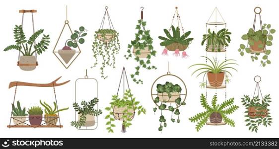 Hanging plants, indoor potted houseplants in macrame hangers. Home plant in handmade hanger, house interior decor elements vector set. Floral bloom and foliage decoration for home and office. Hanging plants, indoor potted houseplants in macrame hangers. Home plant in handmade hanger, house interior decor elements vector set