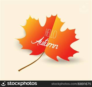 happy autumn design with orange maple leaf on background 2018719