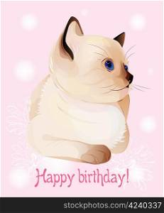 Happy birthday greeting card with blue-eyed little Siamese kitten on the pink background. Watercolor style.