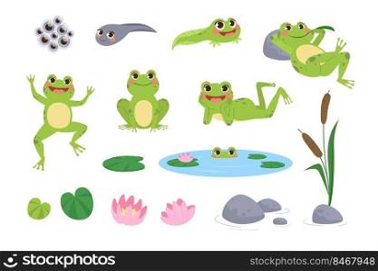 Happy cartoon frogs vector illustrations set. Drawings of cute green&hibian resting, jumping, tadpole, toad eggs, lotus flower and leaves isolated on white background. Nature, animals concept