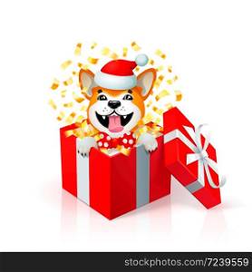 Happy cartoon puppy in gift box wearing santas hat. Portrait of Akita inu japanese dog as 2018 new year symbol. new year card. Christmas poster with yellow dog in red box. Vector illustration.. Happy cartoon puppy in gift box wearing santas hat. Portrait of Akita inu japanese dog as 2018 new year symbol. new year card. Christmas poster with yellow dog in red box.