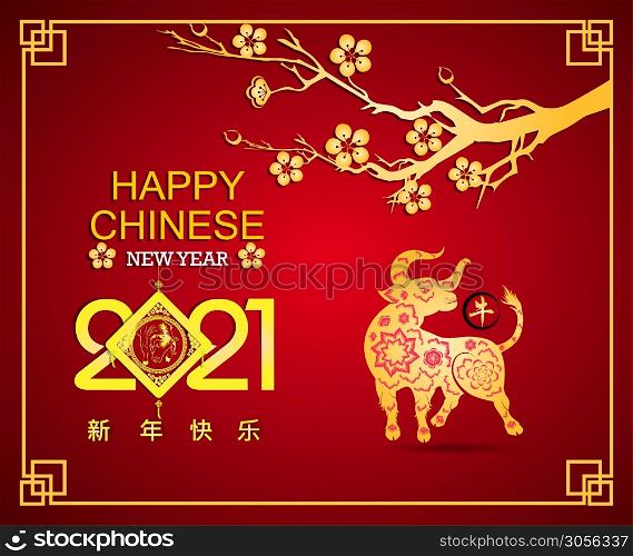 Happy chinese new year 2021 with cherry blossom flower year of the Ox.