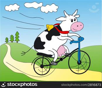 Happy cow on a bicycle!