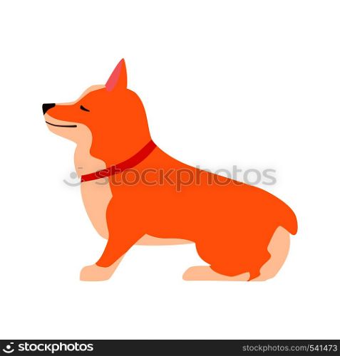 Happy cute dog. Welsh Corgi. Flat vector illustration. Happy cute dog. Welsh Corgi. Flat illustration.