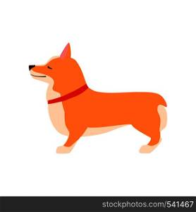 Happy cute dog. Welsh Corgi. Puppy performs the command to stand up. Flat vector illustration.. Happy cute dog. Welsh Corgi. puppy sits Flat illustration.