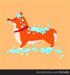 Happy cute dog. Welsh Corgi. Puppy wash. Grooming concept. Flat vector illustration. Happy cute dog. Welsh Corgi. Puppy wash. Grooming concept.
