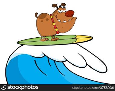 Happy Dog While Surfing