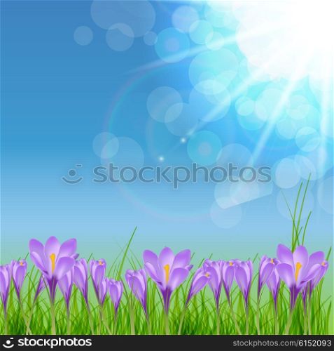 Happy Easter Card with Crocuses Vector Illustration EPS10. Happy Easter Card with Crocuses Vector Illustration