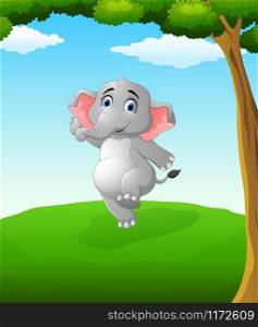 Happy elephant cartoon on the field