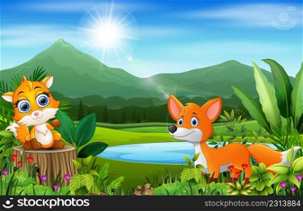 Happy fox on the beautiful nature