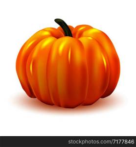 Happy Halloween realistic pumpkin isolated on white, vector illustration