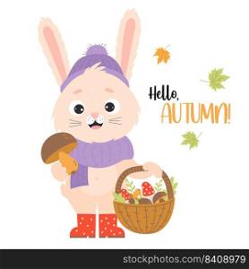 Happy hare mushroom picker. Poster hello autumn. Cute rabbit in rubber boots with mushrooms and wicker basket and autumn leaves. Vector illustration for kids collection, postcard, designs, decorations