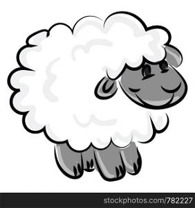 Happy little lamb, illustration, vector on white background.