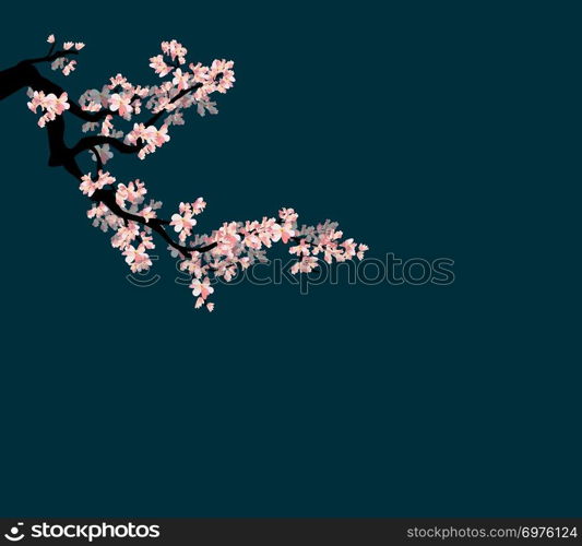 Happy New Year 2019. Chienese New Year, Year of the Pig. Cherry blossom background