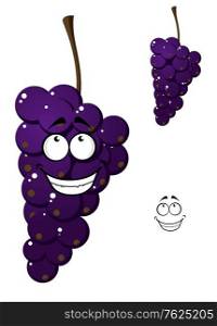 Happy smiling bunch of cartoon purple grapes isolated on white background. Happy smiling bunch of purple grapes
