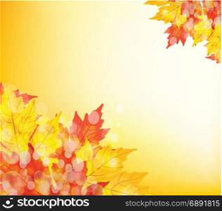Happy Thanksgiving. Autumn background with leaves