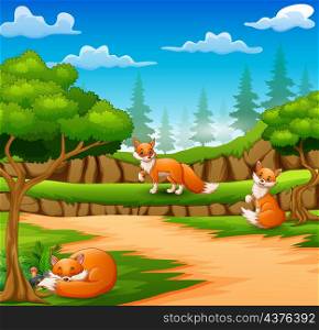 Happy three fox cartoon on nature scene