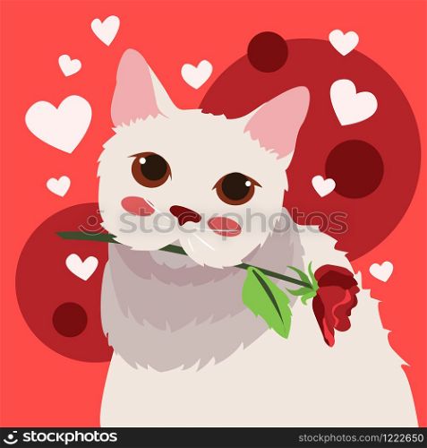Happy Valentine's Day of white cat with rose in mouth , Valentines card and poster