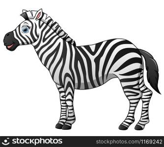 Happy zebra cartoon isolated on white background