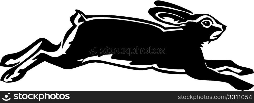 Hare