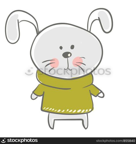 Hare in green sweater vector or color illustration