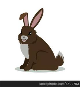 Hare or rabbit cartoon character. Brown hare flat vector isolated on white. North America and Eurasia fauna. Rabbit icon. Animal illustration for zoo ad, nature concept, children book illustrating. Hare Cartoon Vector Illustration in Flat Design