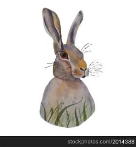 Hare watercolor art design stock vector illustration for web, for print