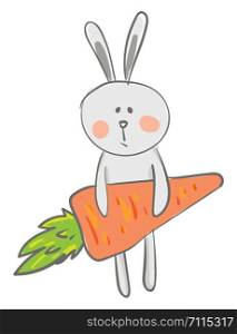 Hare with a carrot vector or color illustration