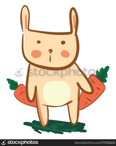 Hare with two carrots vector or color illustration