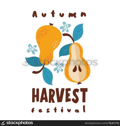 Harvest festival. Vector logo on a white background. Two yellow ripe pears.. Harvest festival. Vector logo. Ripe pear.