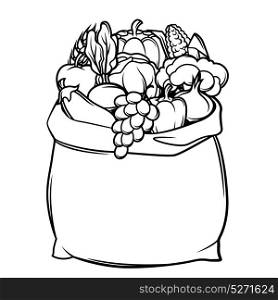 Harvest illustration of bag with seasonal fruits and vegetables. Harvest illustration of bag with seasonal fruits and vegetables.