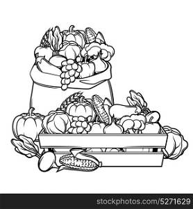 Harvest illustration with seasonal fruits and vegetables. Harvest illustration with seasonal fruits and vegetables.